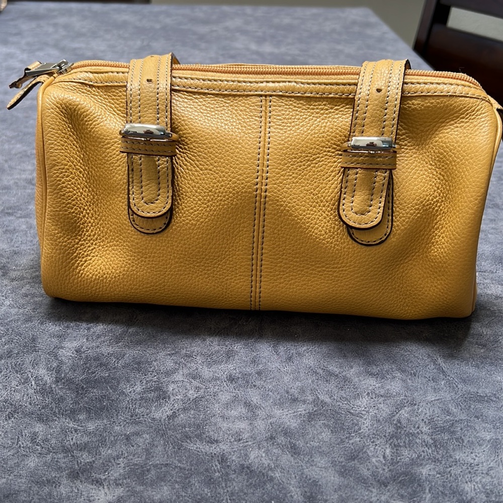 Tignanello Tan Purse